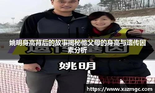 姚明身高背后的故事揭秘他父母的身高与遗传因素分析